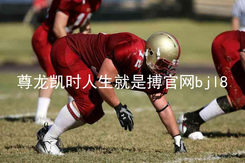 尊龙凯时人生就是搏官网bjl8