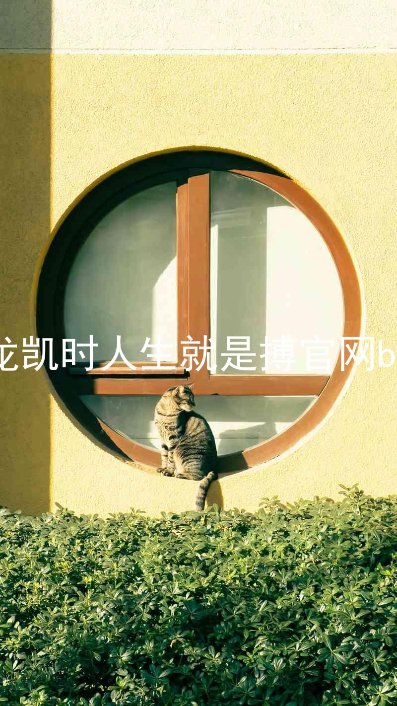 尊龙凯时人生就是搏官网bjl8