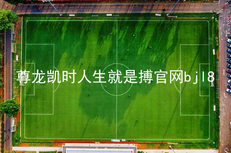 尊龙凯时人生就是搏官网bjl8