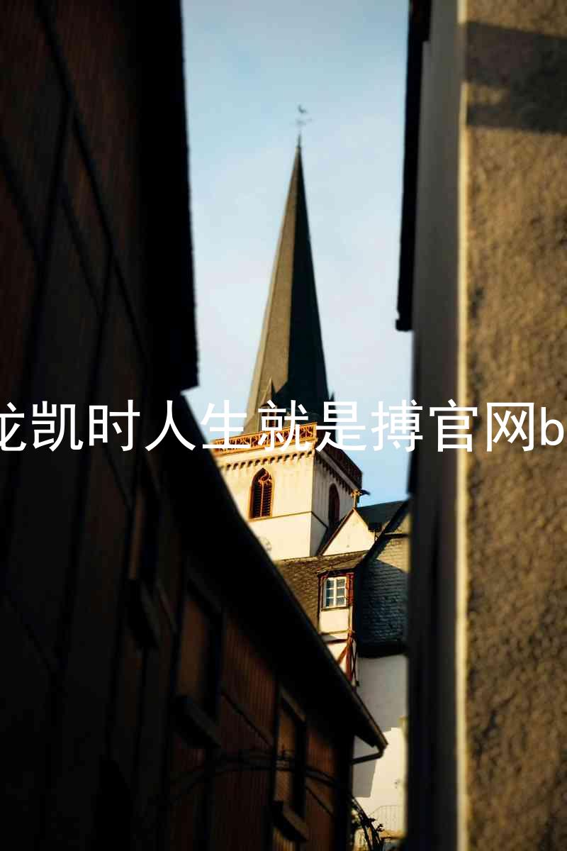 尊龙凯时人生就是搏官网bjl8